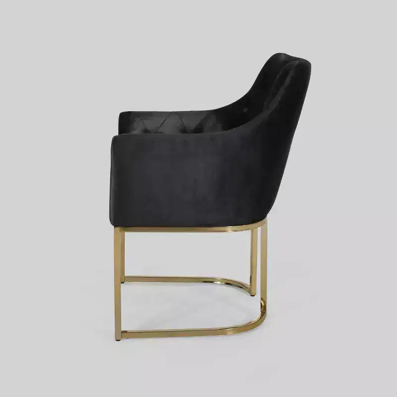 McDonough Modern Tufted Glam Accent Chair Black - Christopher Knight Home